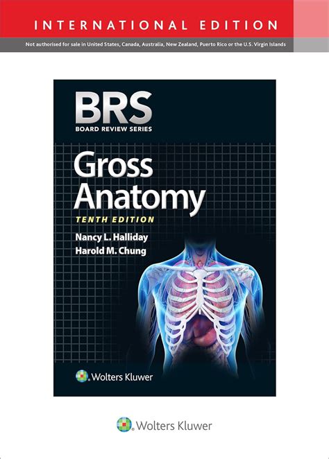 Gross Anatomy Board Review Series PDF