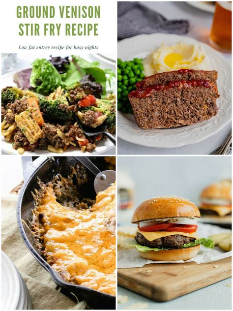 Ground Venison Recipes: A Culinary Adventure with Wild Flavors