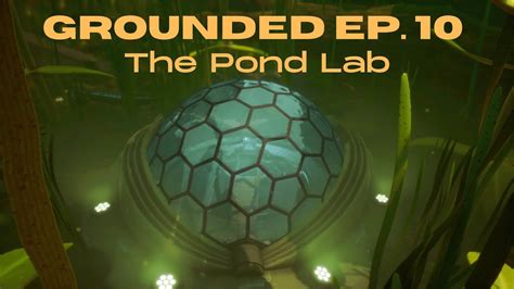 Grounded Pond Lab: A Comprehensive Guide to Creating a Thriving Ecosystem