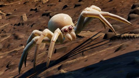 Grounded Spiderling: Delving into the Enigmatic World of Earthbound Spiders