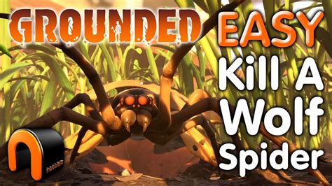 Grounded Wolf Spider: The Ultimate Guide to Conquering Your Fear