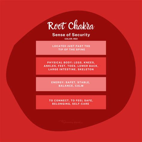 Grounding and Root Chakra Connection