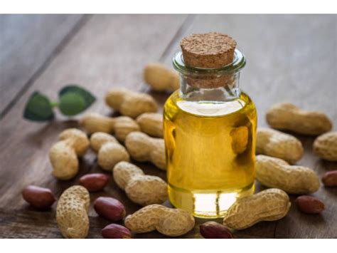 Groundnut Oil: A Versatile and Healthy Cooking Medium