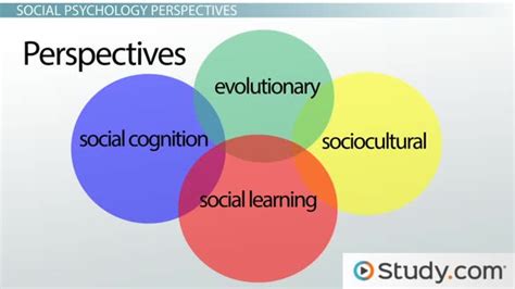 Group Motivation Social Psychological Perspectives Reader