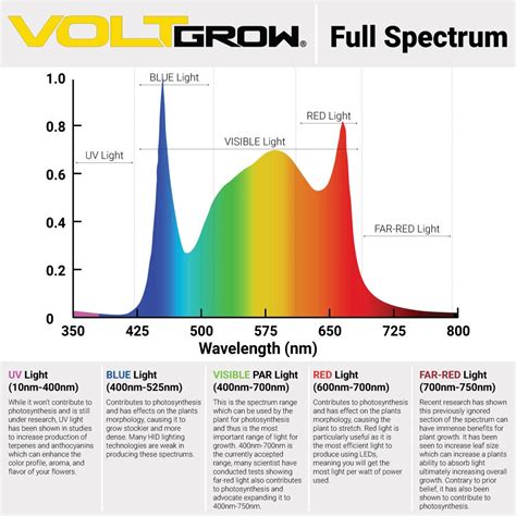 Grow Light Spectrum Chart