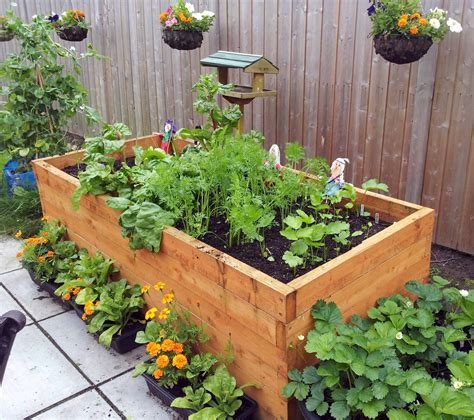 Grow Your Own Vegetables 3 Book Bundle Container Gardening Raised Bed Gardening Companion Planting Doc