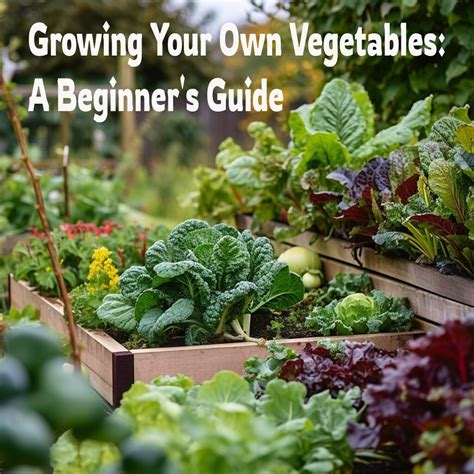 Grow Your Own Vegetables What When Where and How Doc