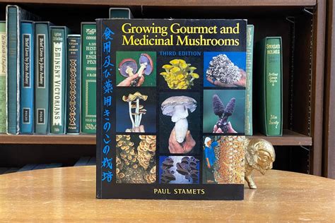 Growing Gourmet and Medicinal Mushrooms 3rd Edition Reader