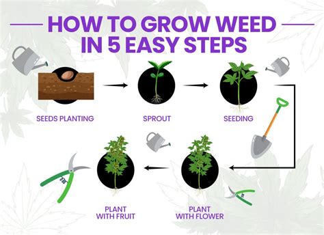 Growing Marijuana How to Plant Kindle Editon