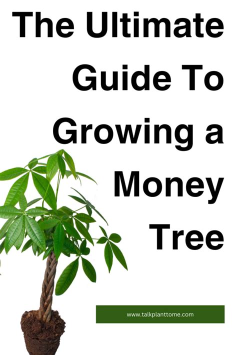 Growing Money on Trees: The Ultimate Guide to Financial Prosperity