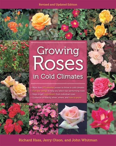 Growing Roses in Cold Climates Kindle Editon