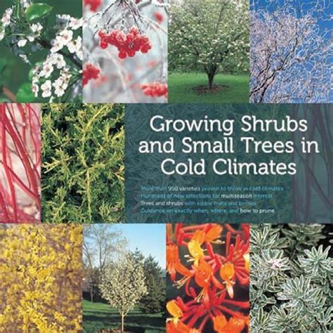 Growing Shrubs and Small Trees in Cold Climates Revised and Updated Edition Epub