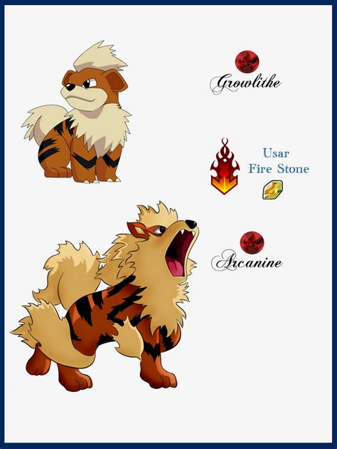 Growlithe Evolve Level 25