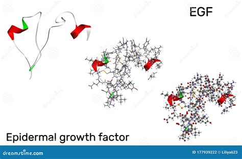 Growth Factor Matrix: