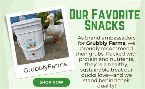 Grubbly Farms: A Comprehensive Guide for Pet Owners in 2025