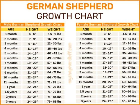 Gsd Puppy Weight Chart