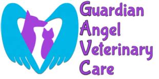 Guardian Angel Veterinary Care: The Ultimate Guide