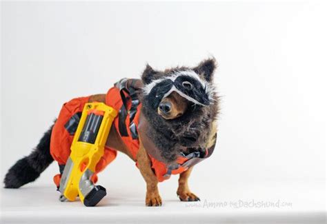 Guardians of the Galaxy dog costumes