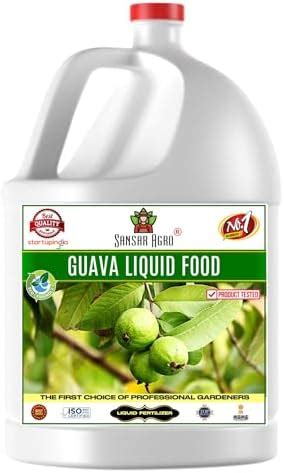 Guava Plant Fertilizer: The Ultimate Guide to Boosting Growth and Yield