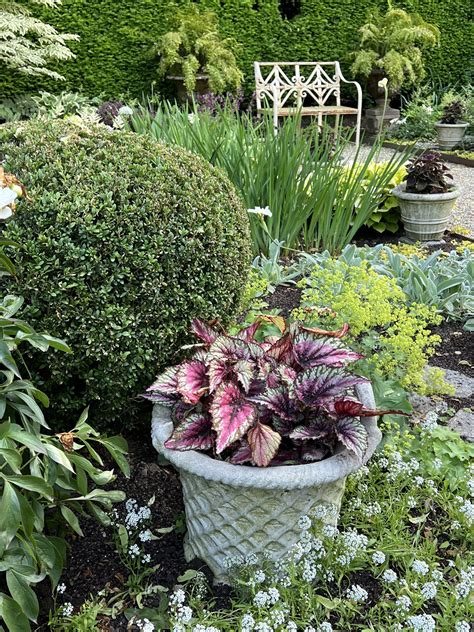 Guerrero Nursery: Your Destination for Horticultural Delights in Ontario