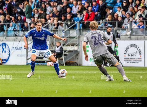 Guia completo: FC Midtjylland x Lyngby BK