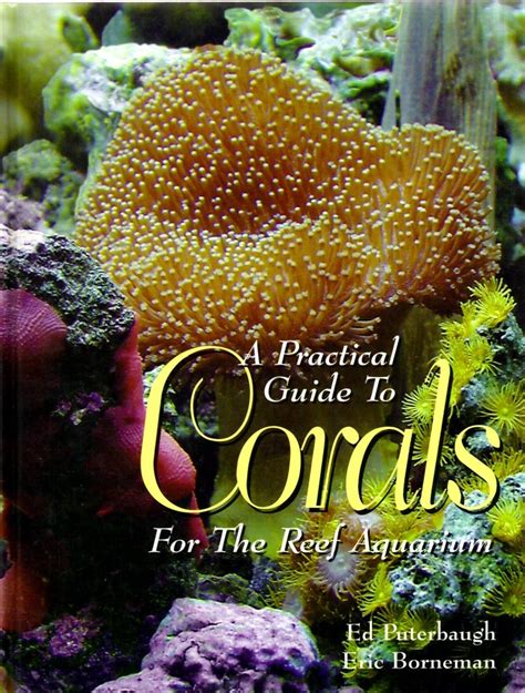 Guide to Corals & Fishes Reader