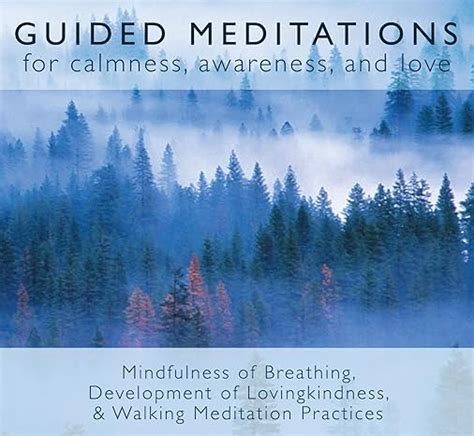 Guided Meditations For Calmness Awareness and Love Reader