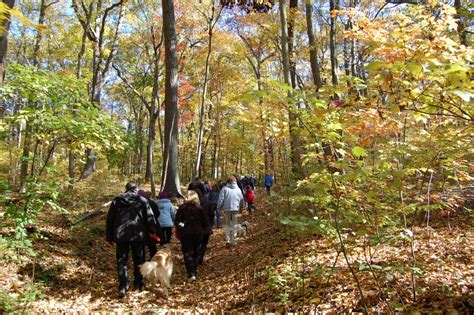 Guided nature walks