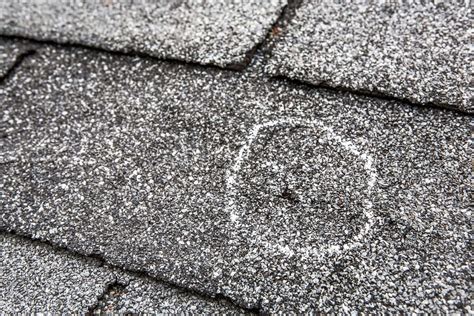 Guidelines to Assess Hail Damage to Shingle Roofs pdf Doc