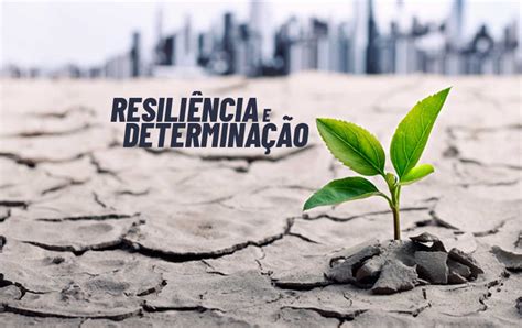 Guilherme Bomba Vasconcelos: Um Modelo de Resiliência e Determinação