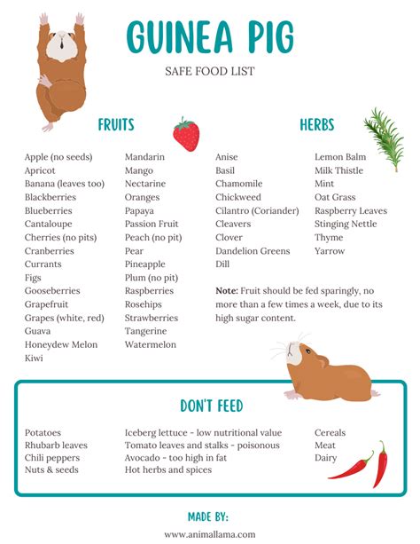 Guinea Pigs Food Chart