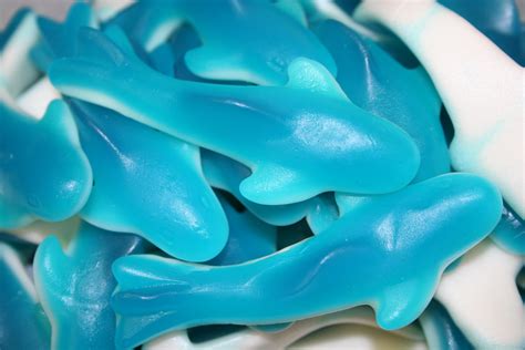 Gummi sharks: