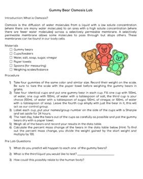 Gummy Bear Basketball Answer Key Doc