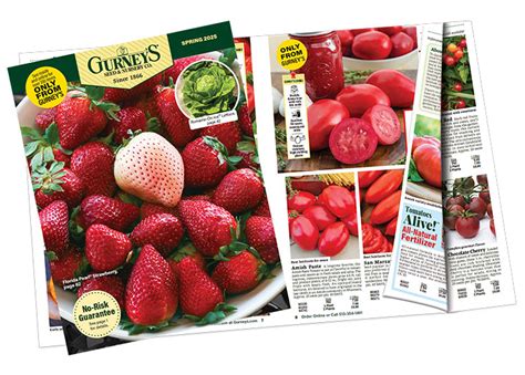 Gurneys Seed Catalogs