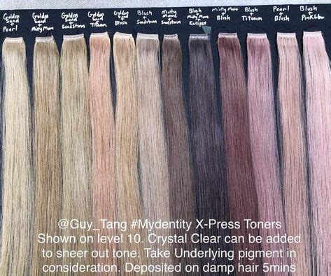 Guy Tang Toner Chart
