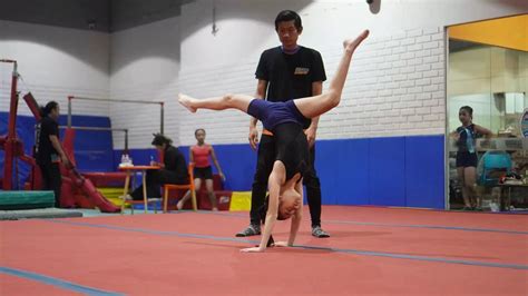 Gymnastics Step-by-Step: A Comprehensive Guide to Mastering the Basics