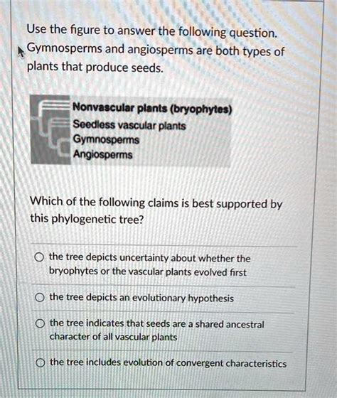 Gymnosperms Angiosperms Answers Doc