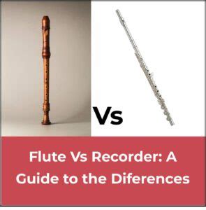 H1: Flute Community VS Forums 2025: The Definitive Guide