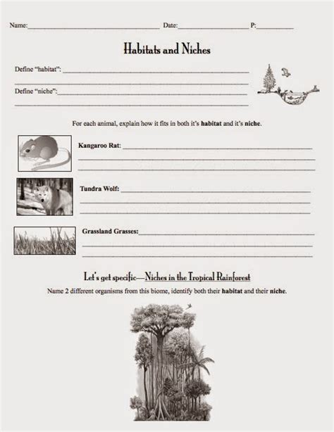 HABITAT AND NICHE ACTIVITY SHEET ANSWERS Ebook Reader