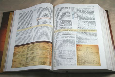 HCSB Study Bible Doc