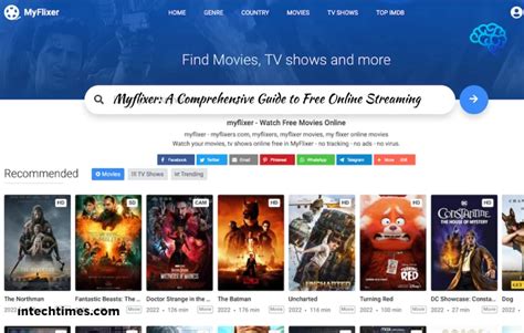 HDFlixer: Content Comparison Guide