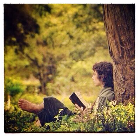 HDR Frodo Sitting Under Tree: A Majestic Masterpiece