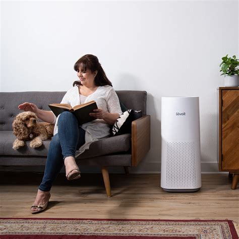 HEPA Air Purifiers for Pets: Top 2025 Contenders