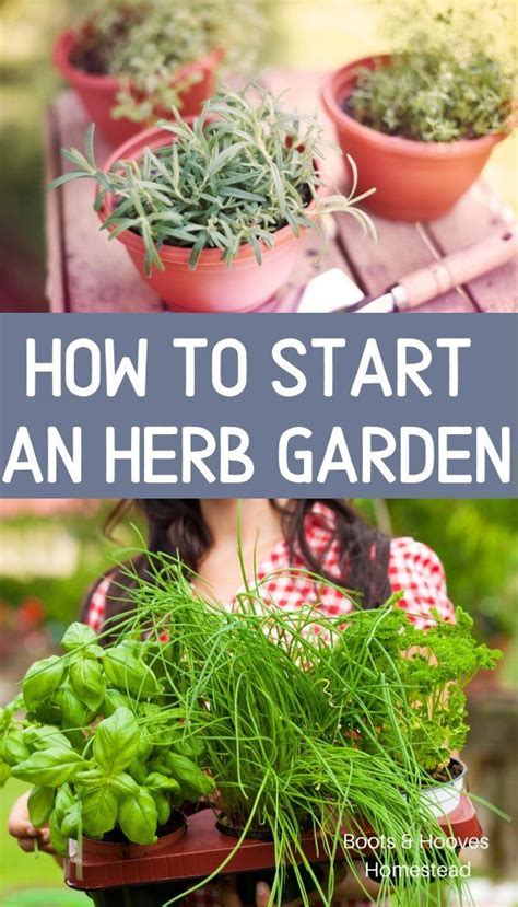 HERB GARDENING FOR BEGINNERS Kindle Editon