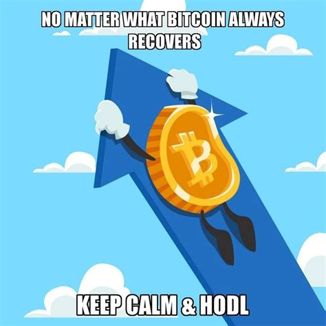 HODL Meme: 10,000 Reasons to Stay Strong in Crypto