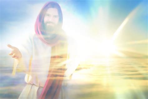 HOLDING JESUS Seeing Jesus Epub