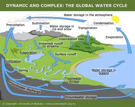 HOLT SCIENCE AND TECHNOLOGY WATER CYCLE DIAGRAM Ebook Doc