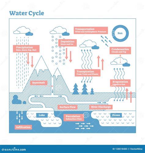 HOLT SCIENCE AND TECHNOLOGY WATER CYCLE DIAGRAM Ebook Doc