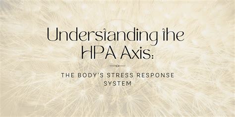 HPA: The Master Regulator of Stress and Health