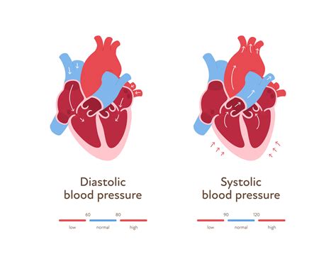 HPA en mmhg: Exploring the Vital Link Between Blood Pressure and Heart Health